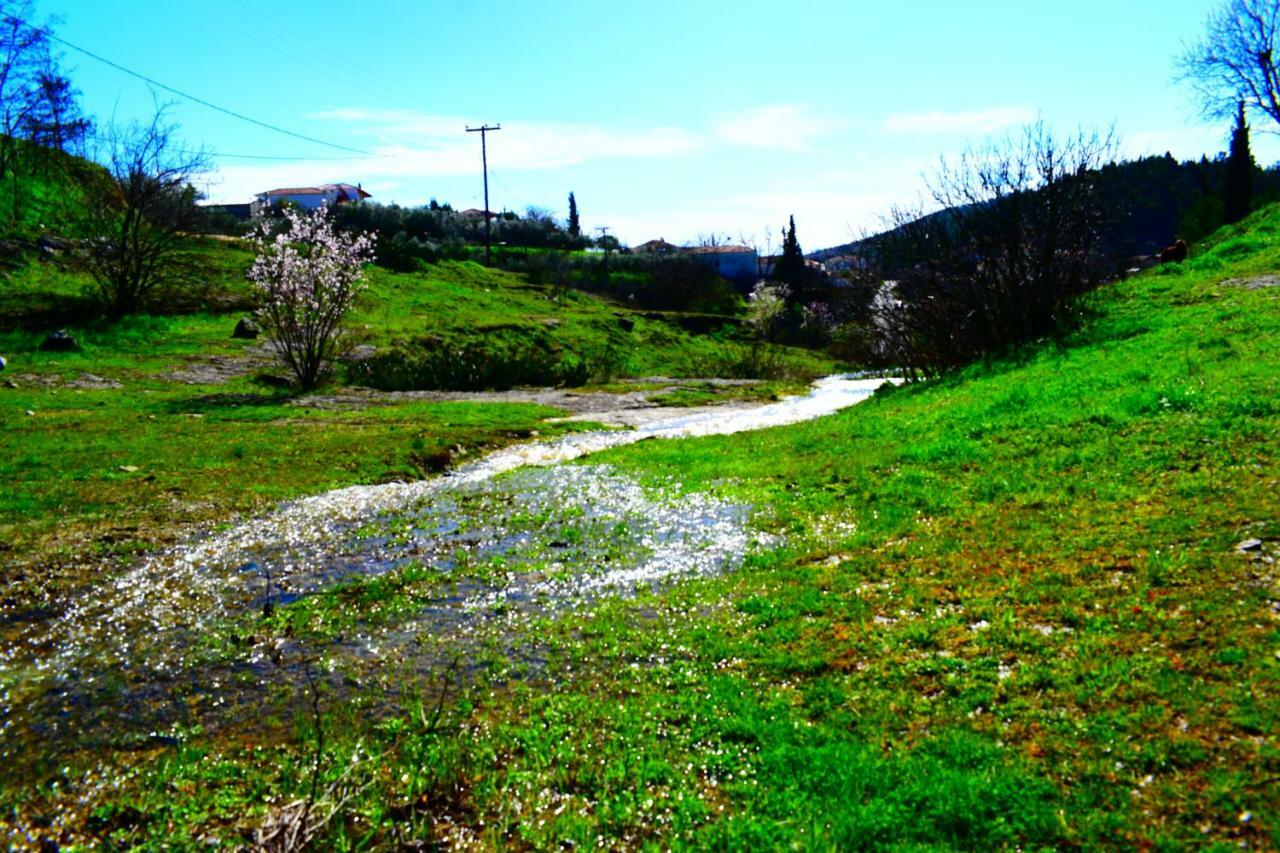 Oasis Of Calmnessε Villa Ardani Exterior photo